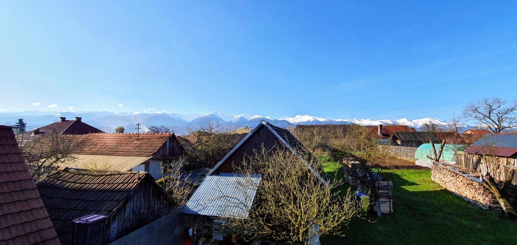 Casa Popa Ξενοδοχείο Cîrţişoara Εξωτερικό φωτογραφία
